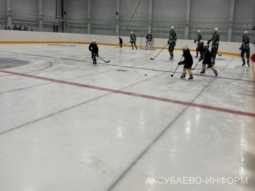 На аксубаевском льду играли представители высшего класса татарстанского хоккея