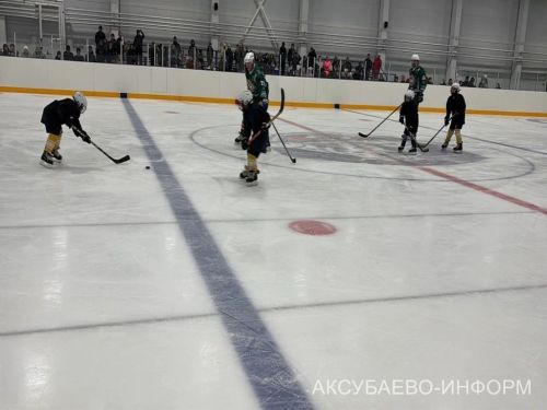 На аксубаевском льду играли представители высшего класса татарстанского хоккея
