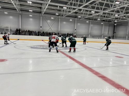 На аксубаевском льду играли представители высшего класса татарстанского хоккея
