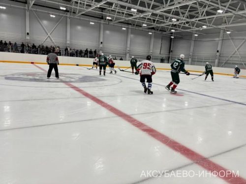 На аксубаевском льду играли представители высшего класса татарстанского хоккея
