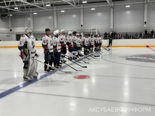 Аксубай бозында Татарстан хоккееның югары класслы вәкилләре уйнады