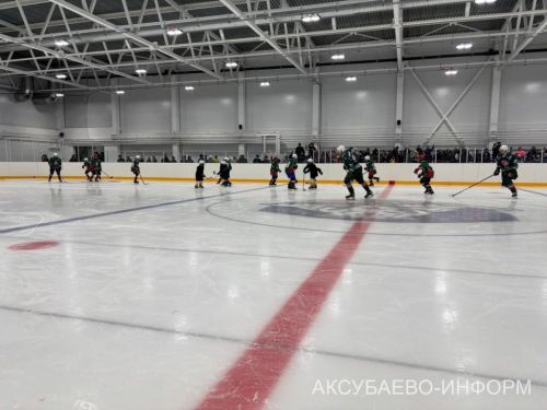 На аксубаевском льду играли представители высшего класса татарстанского хоккея