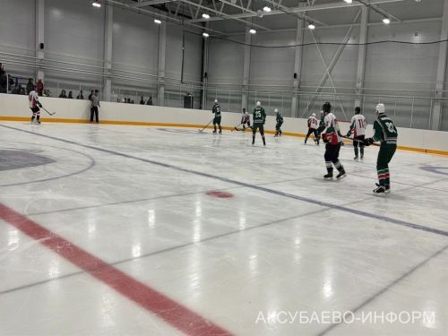На аксубаевском льду играли представители высшего класса татарстанского хоккея