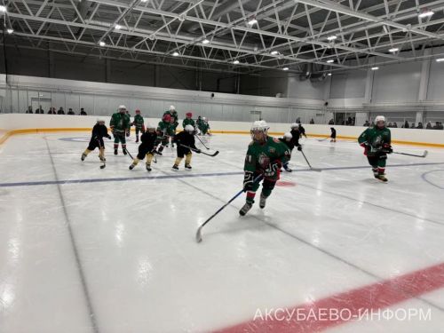 На аксубаевском льду играли представители высшего класса татарстанского хоккея