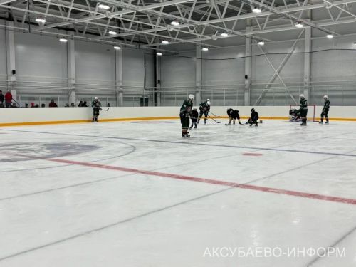 На аксубаевском льду играли представители высшего класса татарстанского хоккея