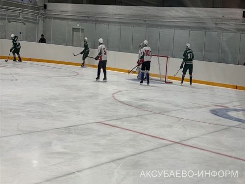 На аксубаевском льду играли представители высшего класса татарстанского хоккея