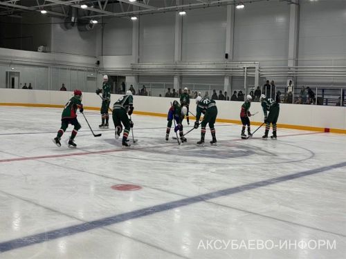 Аксубай бозында Татарстан хоккееның югары класслы вәкилләре уйнады