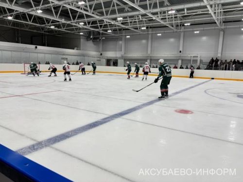На аксубаевском льду играли представители высшего класса татарстанского хоккея