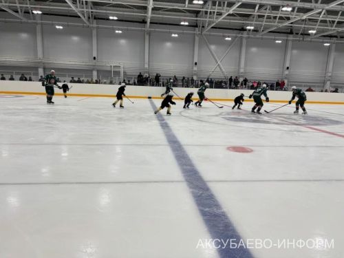 На аксубаевском льду играли представители высшего класса татарстанского хоккея