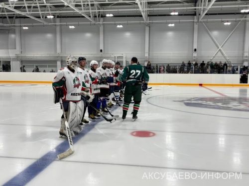 Аксубай бозында Татарстан хоккееның югары класслы вәкилләре уйнады
