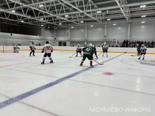 Аксубай бозында Татарстан хоккееның югары класслы вәкилләре уйнады