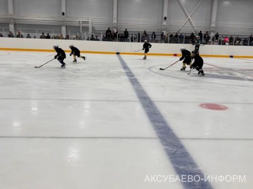 Аксубай бозында Татарстан хоккееның югары класслы вәкилләре уйнады