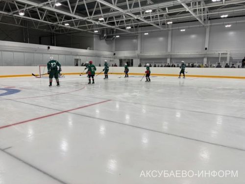 Аксубай бозында Татарстан хоккееның югары класслы вәкилләре уйнады