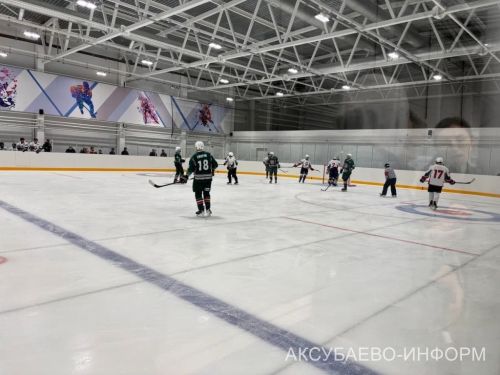 На аксубаевском льду играли представители высшего класса татарстанского хоккея