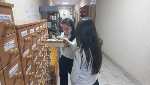 Аксубай укучылары китапханәче һөнәрен сынап карадылар