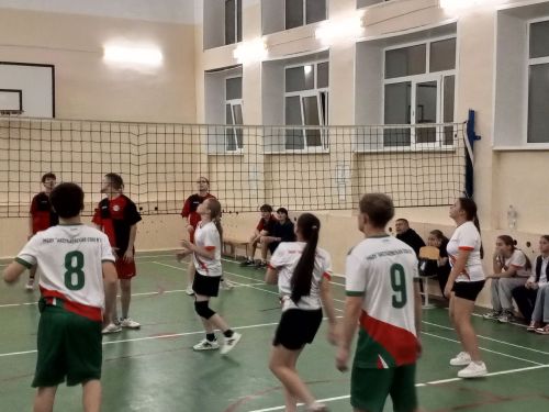 В Аксубаеве определили лучших волейболистов «Движения первых»