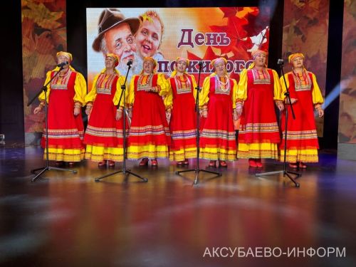 В Аксубаеве чествовали старшее поколение и волонтеров