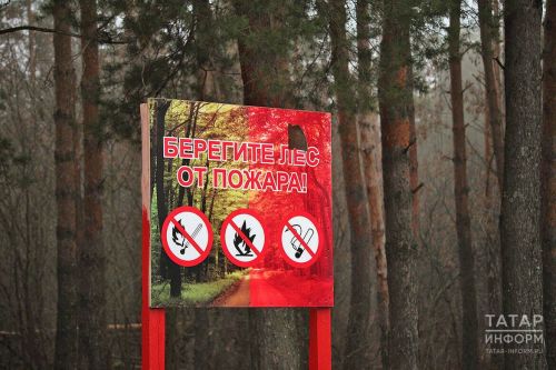 В Татарстане объявили высокую пожарную опасность в лесах