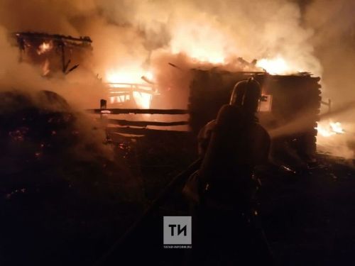 Обстановка с пожарами и гибелью на них людей на территории Республики Татарстан в 2026 году