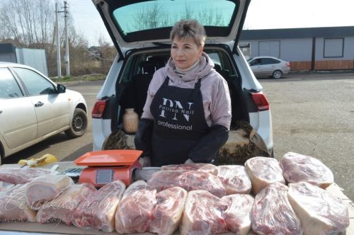 В Аксубаеве прошла весенняя сельхозярмарка