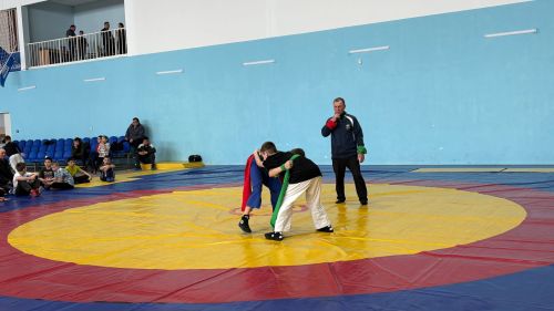 Аксубаевские борцы оспаривали первенство в память о героях-воинах