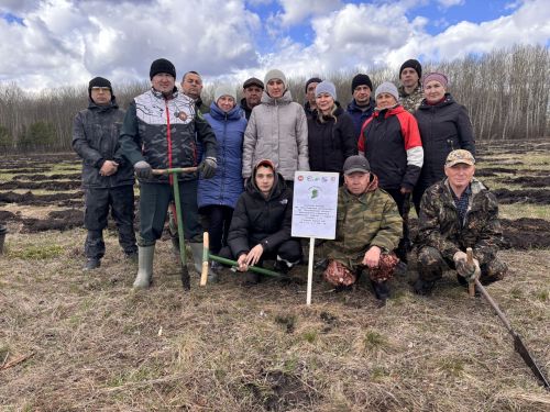 Аксубаевские лесоводы высадили «Сад памяти» из 2200 елей