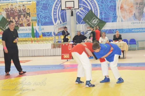 В Аксубаеве на ковер вышли лучшие борцы Татарстана