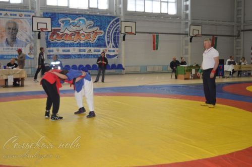 В Аксубаеве на ковер вышли лучшие борцы Татарстана