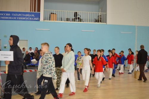 В Аксубаеве на ковер вышли лучшие борцы Татарстана