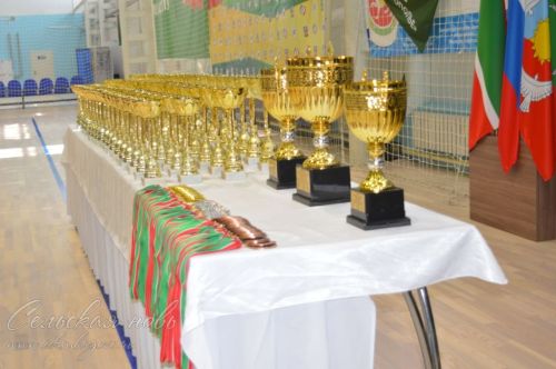 В Аксубаеве на ковер вышли лучшие борцы Татарстана