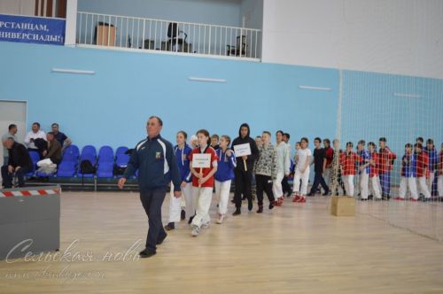В Аксубаеве на ковер вышли лучшие борцы Татарстана