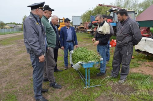 В Аксубаевском районе кормозаготовкам дадут зеленый свет