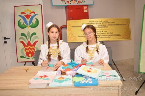 Финанс мөмкинлеге буенча авыл кабинеты ачылды