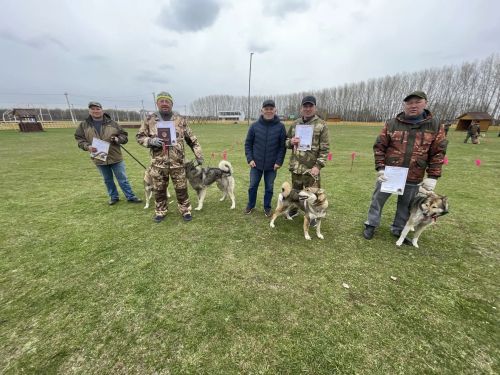 В Аксубаеве состязались лучшие Гончие и Лайки Татарстана