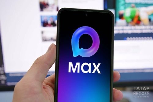 Свыше 17 тысяч жителей Татарстана подключили цифровой ID в мессенджере MAX с помощью Соцфонда