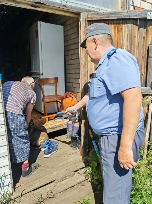В Аксубаевском районе собаки должны быть под учетом