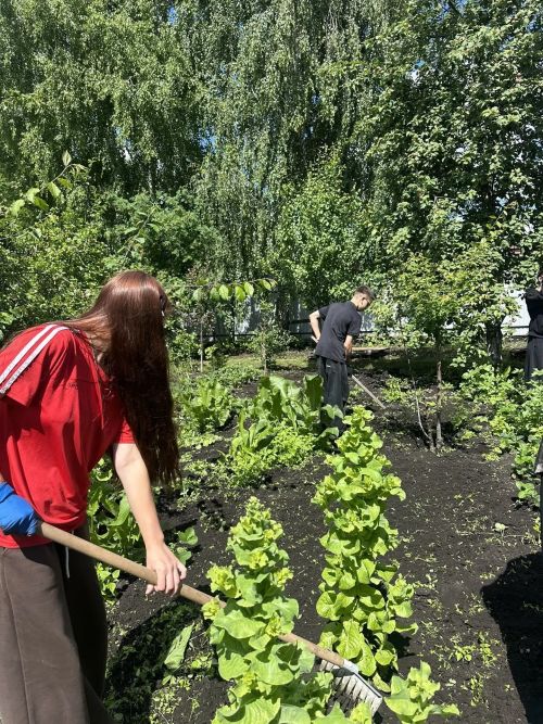 Аксубаевские школьники помогли ветерану привести в порядок огород