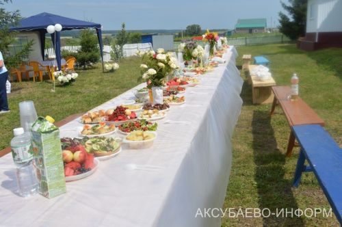 Яңа Мокшинода Авыл көнен билгеләп үттеләр