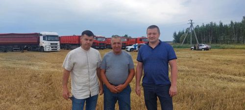В агрофирме «Аксу Агро» « ХК «Чистополье» зерна получают более 55 процентов на круг