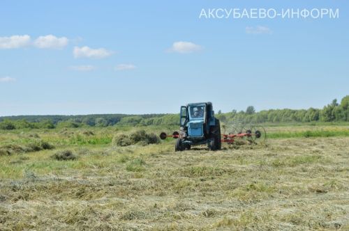 Аксубаевское животноводство делает ставку на крепкую кормовую базу