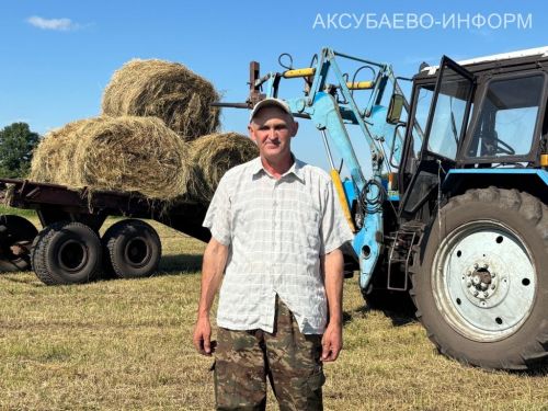 Аксубаевское животноводство делает ставку на крепкую кормовую базу