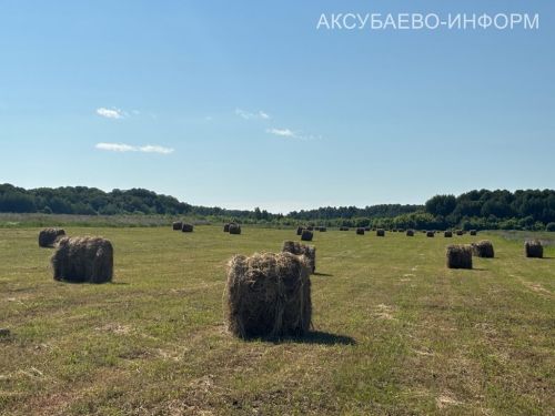 Аксубаевское животноводство делает ставку на крепкую кормовую базу