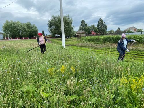 Сотрудники Старотимошкинского Дома культуры провели летний субботник на дорогах села