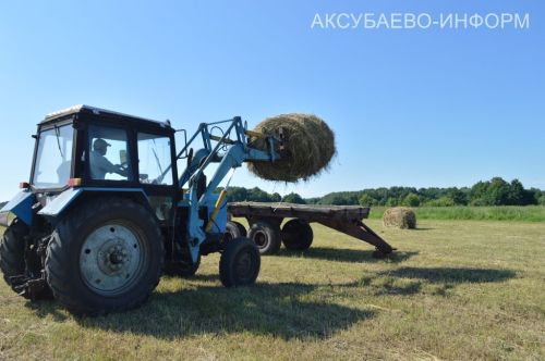 Аксубаевское животноводство делает ставку на крепкую кормовую базу