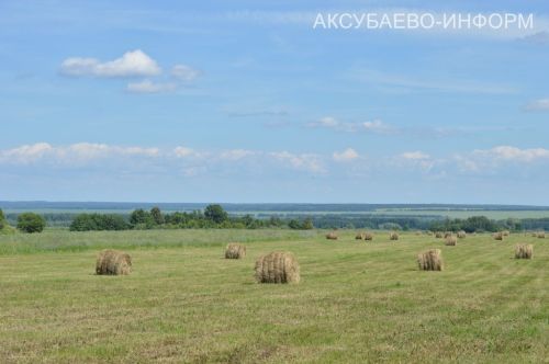 Аксубаевское животноводство делает ставку на крепкую кормовую базу