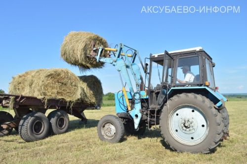 Аксубаевское животноводство делает ставку на крепкую кормовую базу