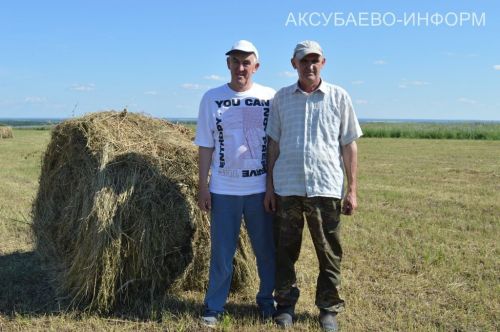 Аксубай терлекчелеге ныклы азык базасына басым ясый