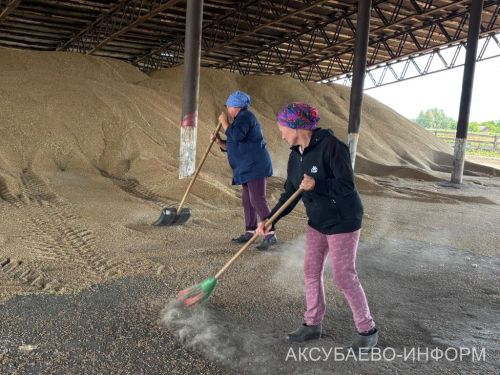 На полях Аксубаевского района набирает темпы уборка урожая