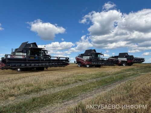 На полях Аксубаевского района набирает темпы уборка урожая