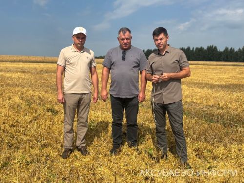 В сельхозпредприятии «Волга Селект» Аксубаевского района намолочено свыше 1300 тонн зерна